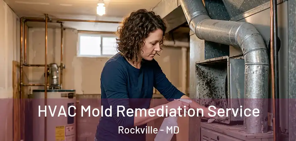  HVAC Mold Remediation Service Rockville - MD