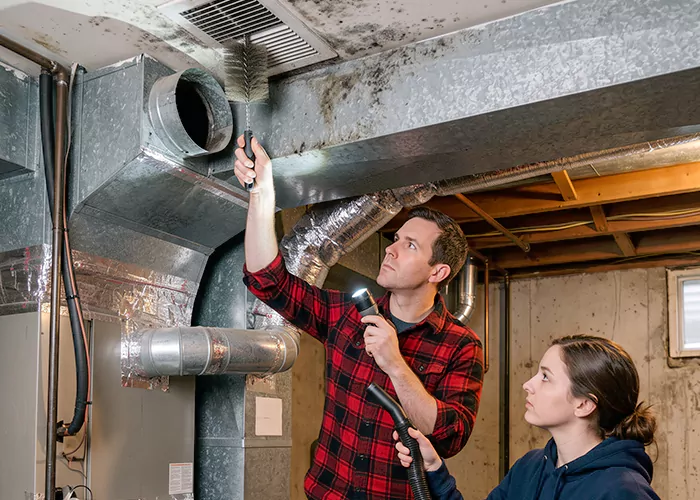 Premier HVAC Mold Remediation Company in Rockville